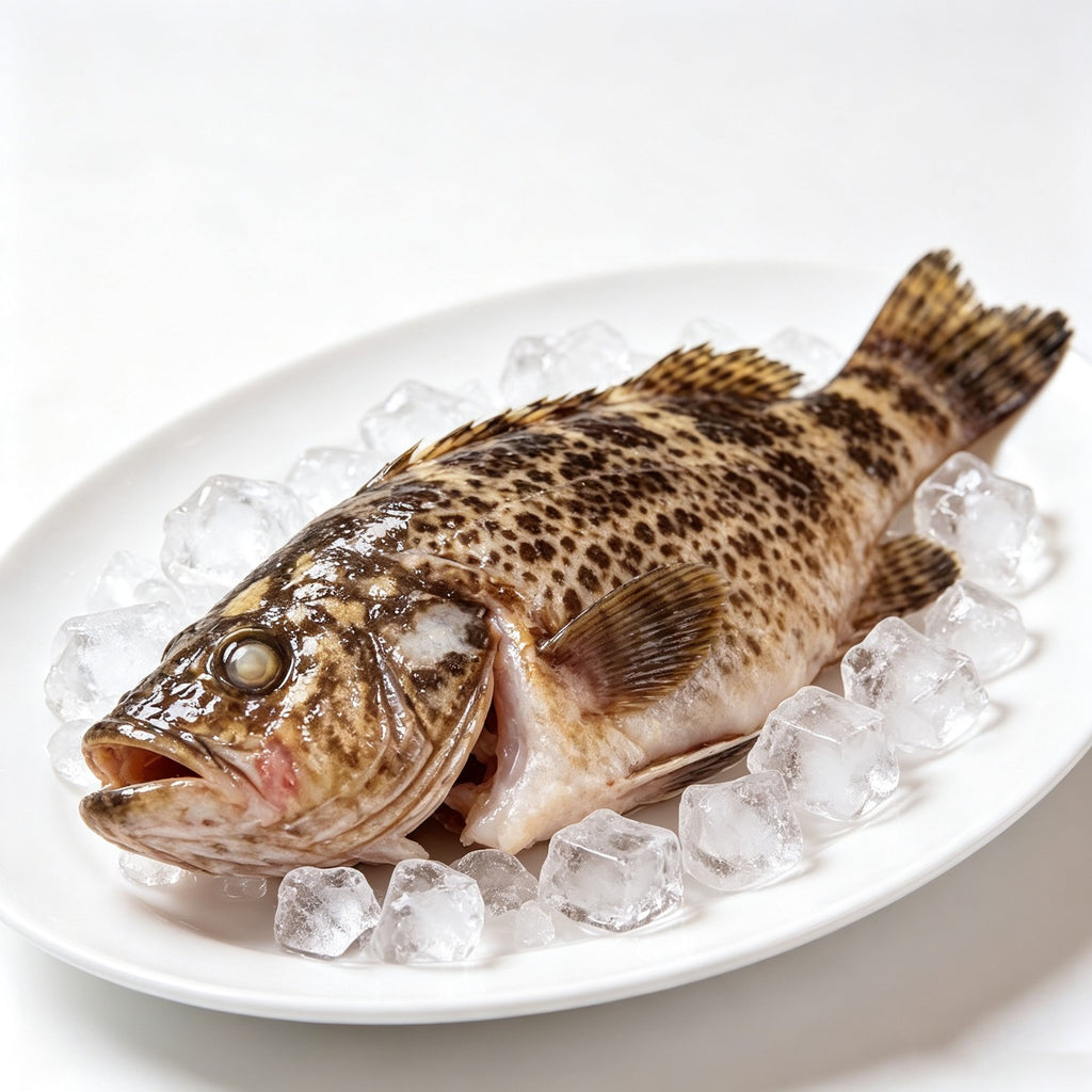 Frozen Whole Grouper